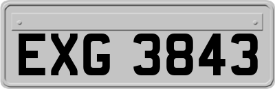EXG3843