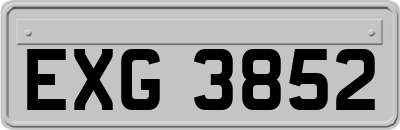 EXG3852