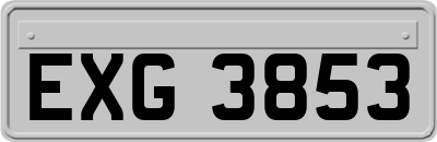 EXG3853