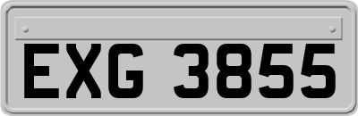 EXG3855