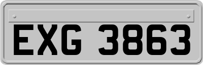 EXG3863