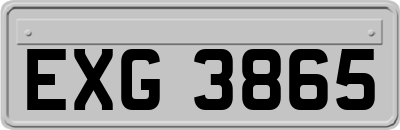 EXG3865