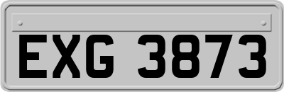EXG3873