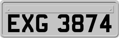 EXG3874