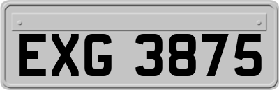 EXG3875
