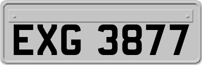 EXG3877