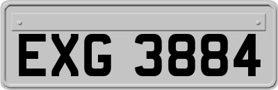 EXG3884