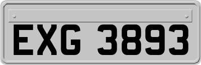 EXG3893