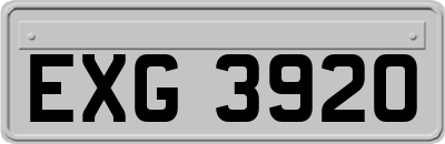 EXG3920