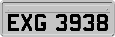EXG3938