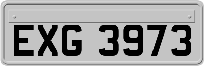 EXG3973