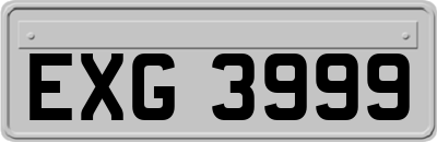 EXG3999
