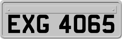 EXG4065