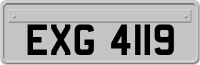 EXG4119