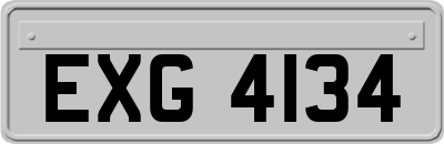 EXG4134