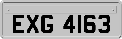 EXG4163