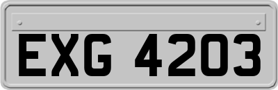 EXG4203