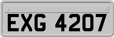 EXG4207