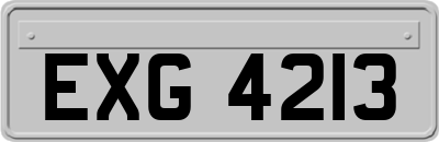 EXG4213