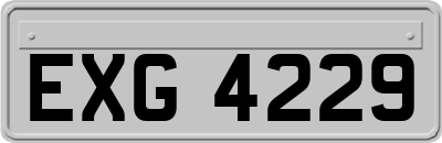 EXG4229