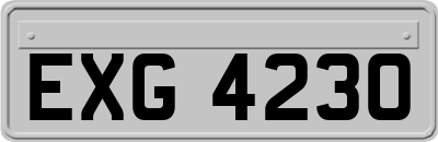 EXG4230