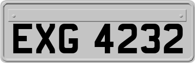 EXG4232