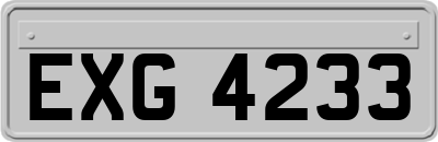 EXG4233