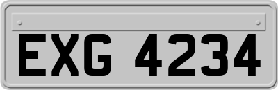 EXG4234