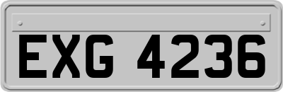 EXG4236