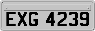 EXG4239