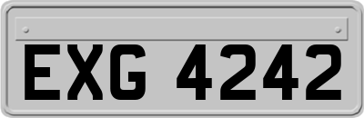 EXG4242
