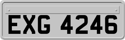 EXG4246