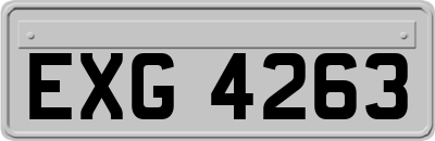 EXG4263
