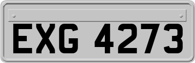 EXG4273
