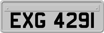 EXG4291