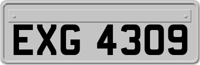 EXG4309