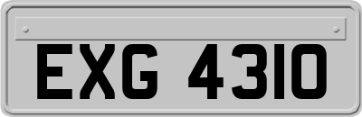 EXG4310