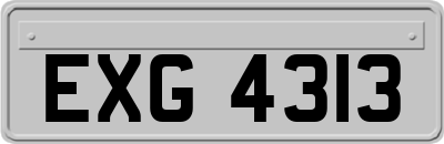 EXG4313