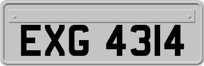 EXG4314