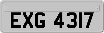 EXG4317