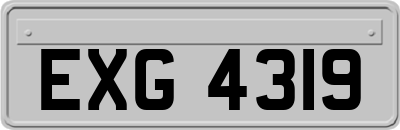 EXG4319