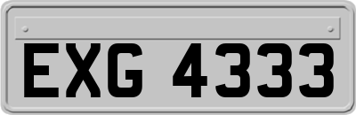 EXG4333