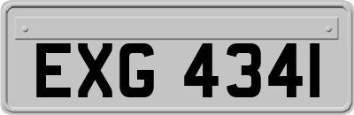 EXG4341