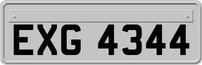 EXG4344