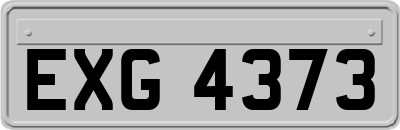 EXG4373