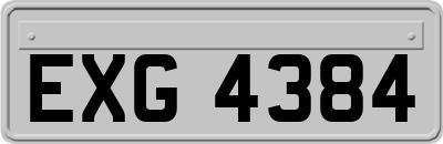 EXG4384