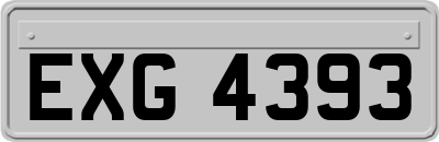 EXG4393