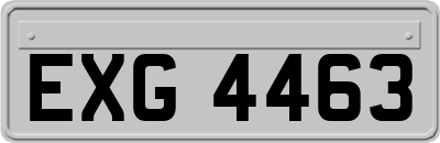 EXG4463
