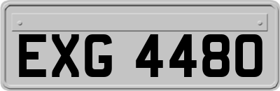 EXG4480