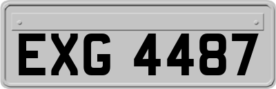 EXG4487